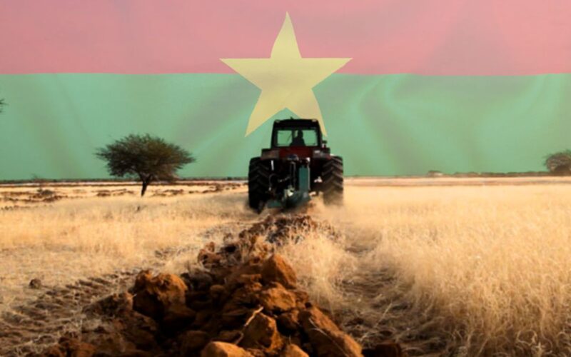 Il Grande Muro Verde in Africa: La Soluzione Rivoluzionaria alla Desertificazione che Sta Cambiando il Destino del Burkina Faso!