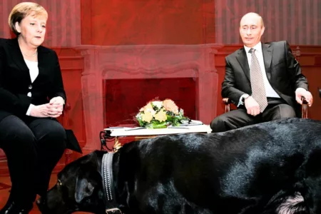 Putin si scusa con Merkel per il labrador: “Non sapevo della sua fobia”